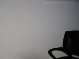 Bustylexii